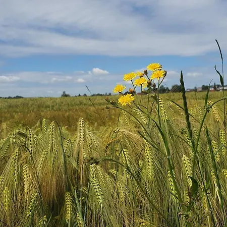 Apartment Anni's Waldblick Burgstadt
