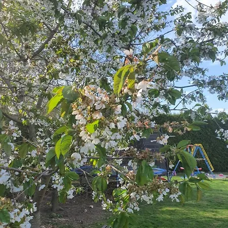 Anni's Waldblick Burgstadt