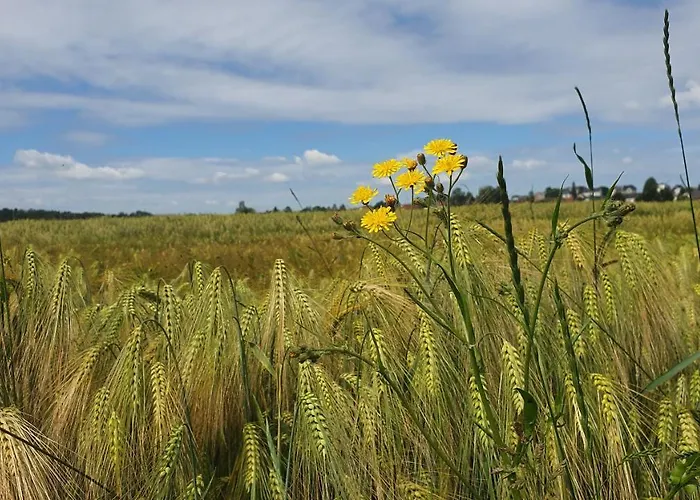 شقة Anni's Waldblick Burgstadt