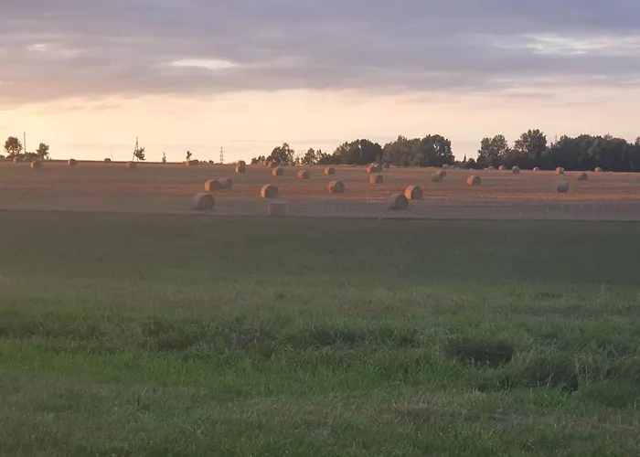 Anni's Waldblick شقة