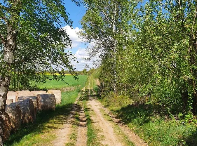Anni's Waldblick شقة