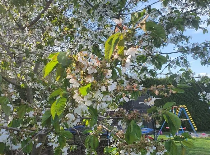 Anni's Waldblick Burgstadt