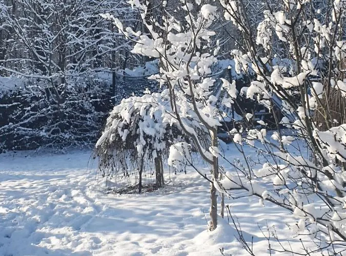 Anni's Waldblick شقة *